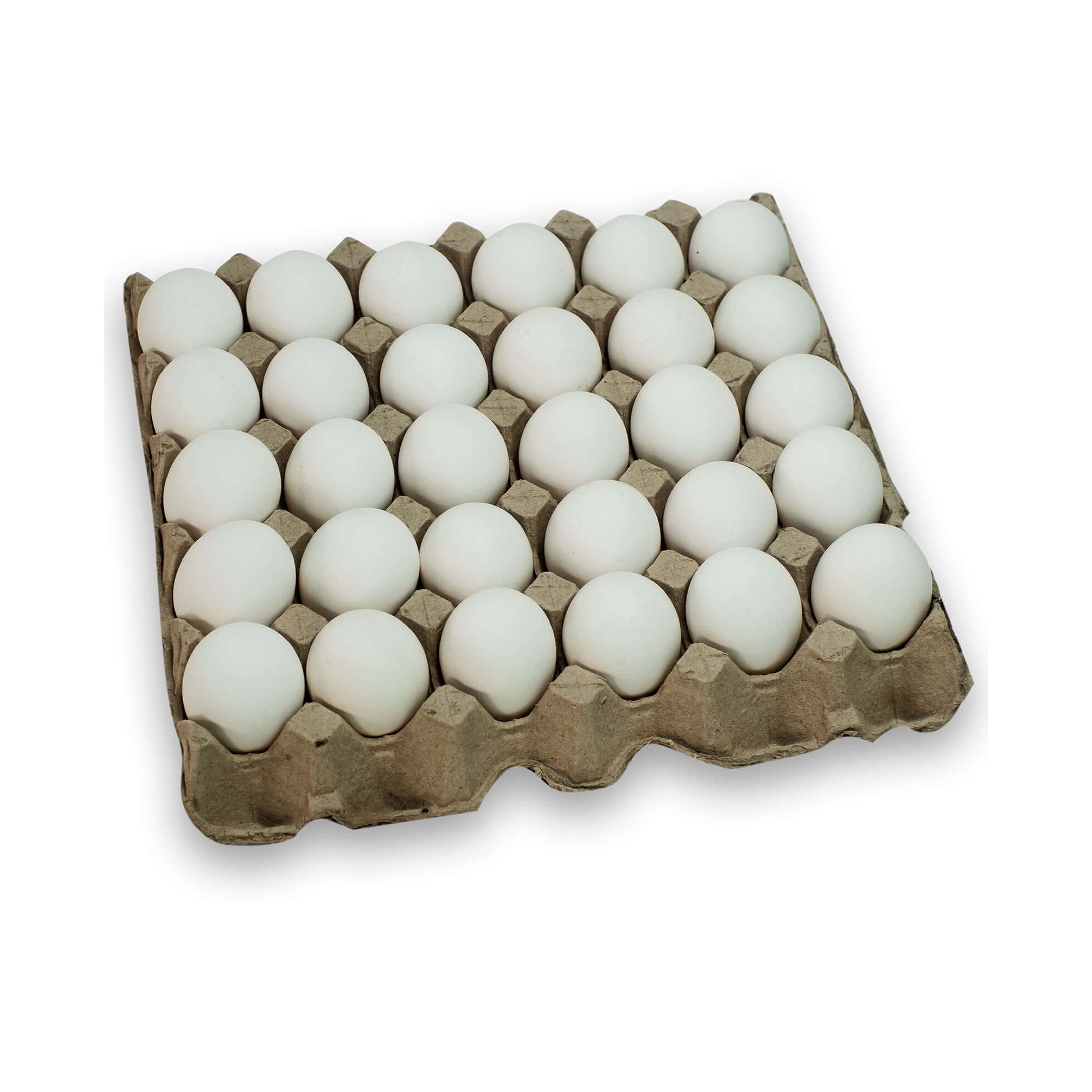 Fresh Eggs
